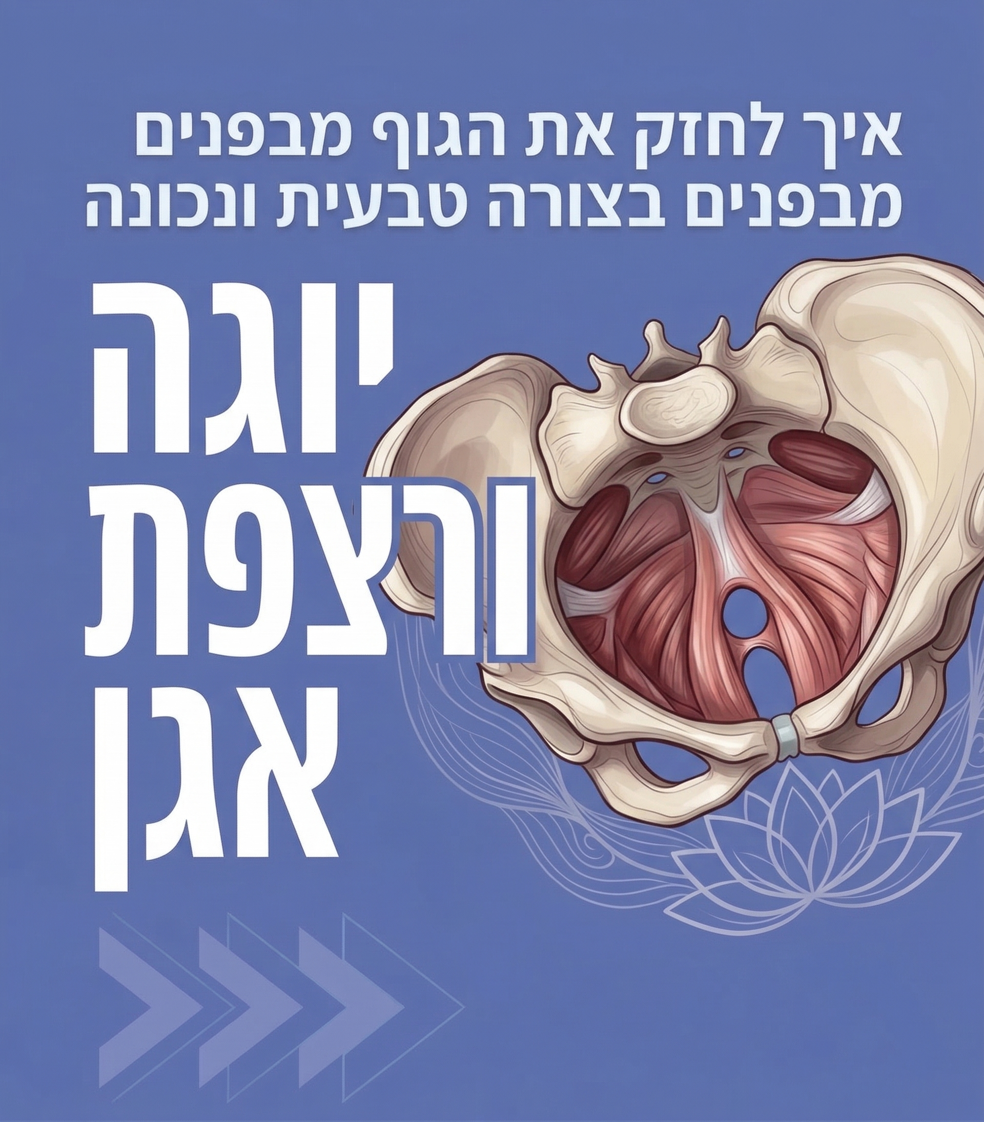 יוגה ורצפת אגן - איך לחזק את הגוף מבפנים בצורה טבעית ונכונה