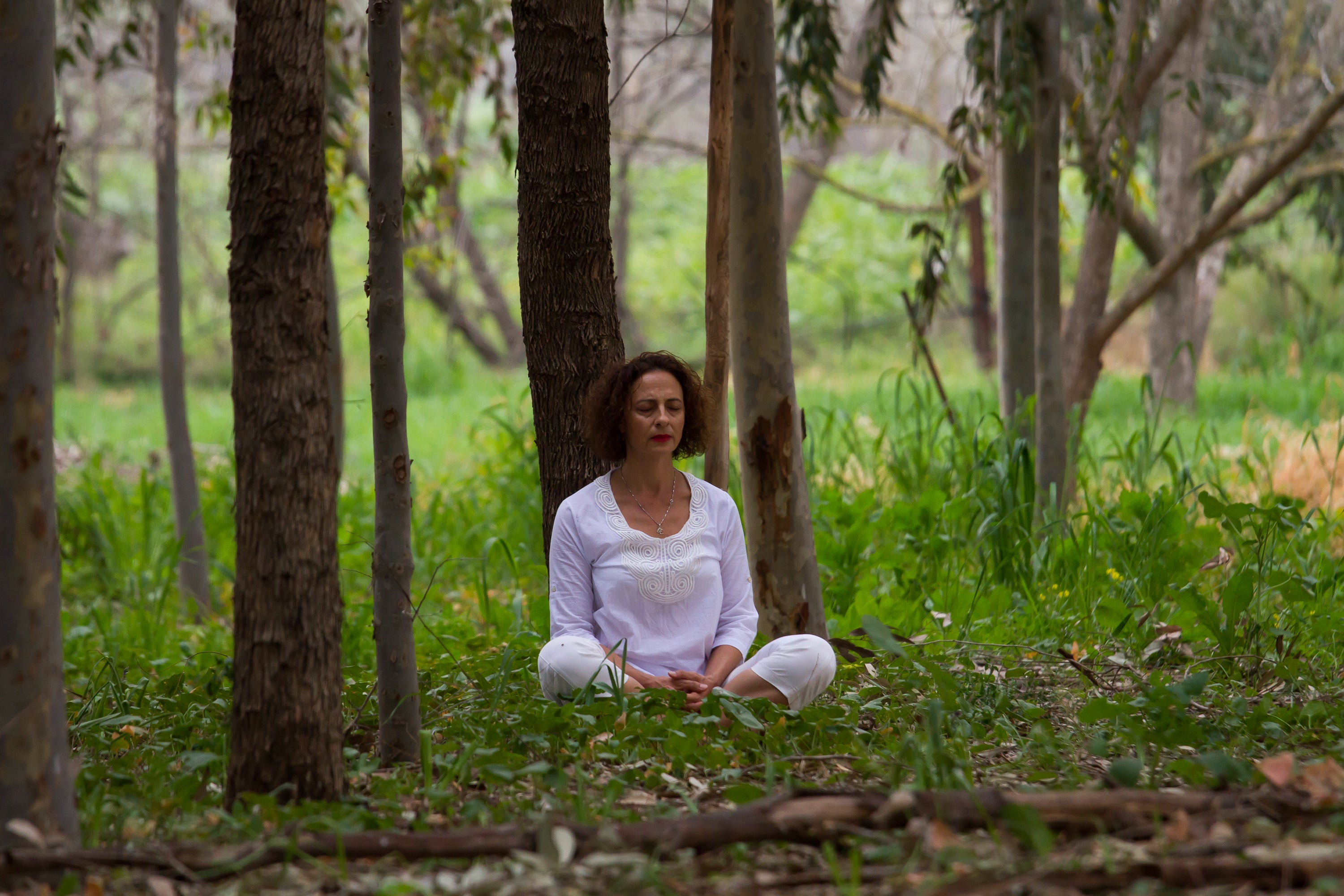 סיגל ביבר - יוגה: מפת דרכים