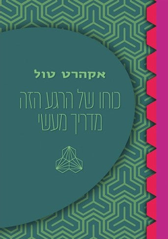 כוחו של הרגע הזה מדריך מעשי - אקהרט טול