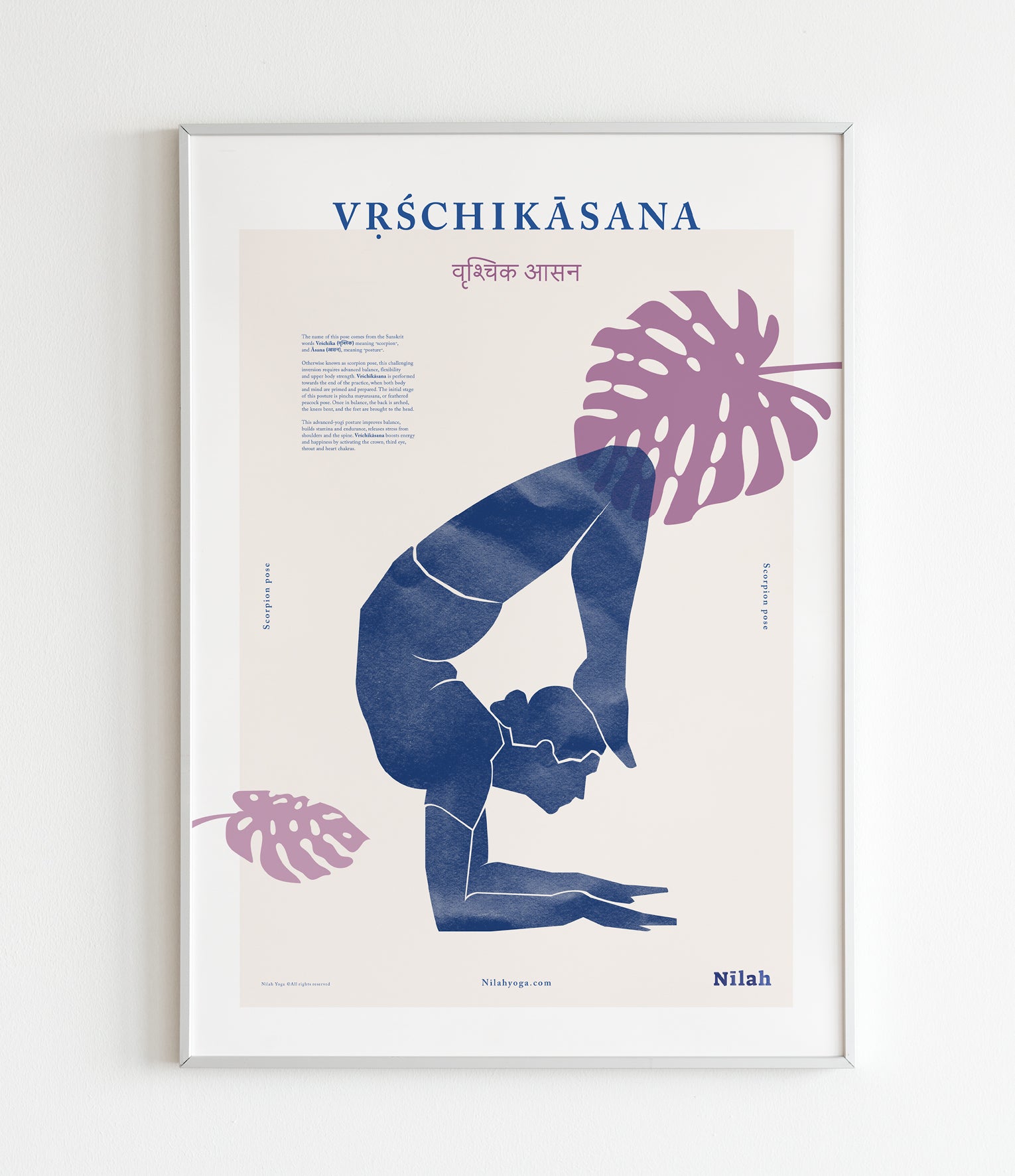 Vrschikasana print / פוסטר תנוחת העקרב