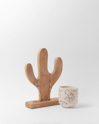 מעמד  קקטוס עץ דקורטיבי