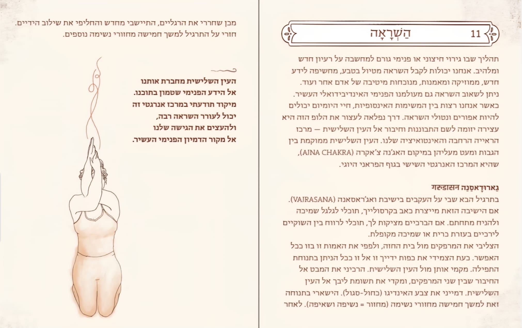 קלפי בריאה- ערכה של קלפים וחוברת