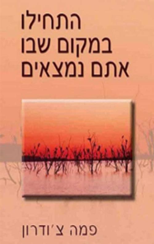 התחילו במקום שבו אתם נמצאים - פמה צ'ודרון-ספרים בעברית-יוגה סטור